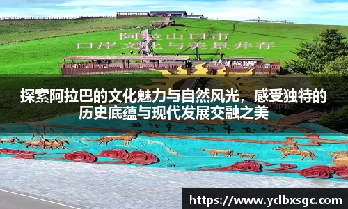 k1体育官方网站