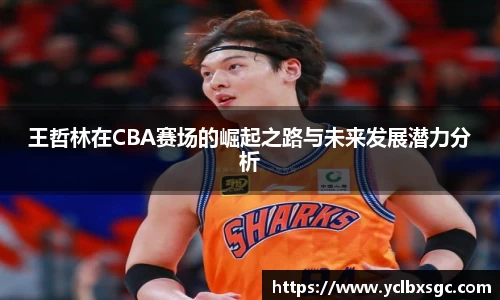 王哲林在CBA赛场的崛起之路与未来发展潜力分析