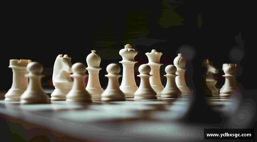 k1体育平台青春梦想，汇聚体育